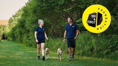 Dorwest Herbs support 100 & First Foundation