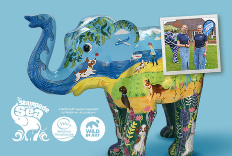 Dorwest sponsors Weldmar Hospicecare's ‘Stampede by the Sea’