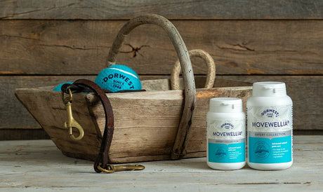 Why is Boswellia good for dogs?