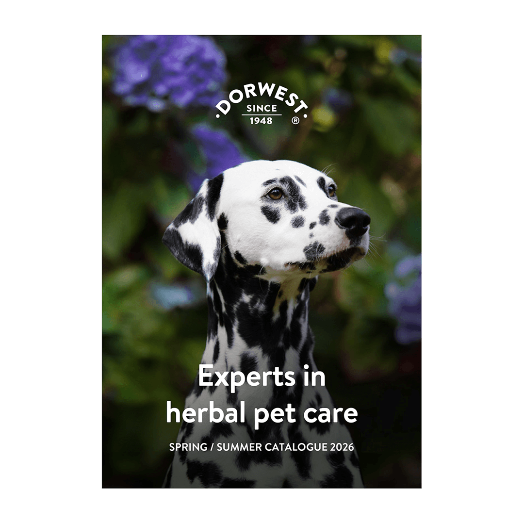 Spring / Summer Catalogue 2026