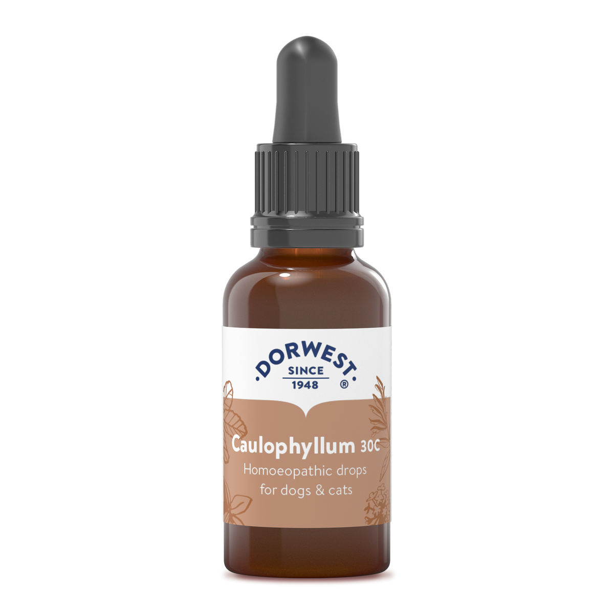 Caulophyllum 30C Liquid Homoeopathic Dorwest Herbs Ltd