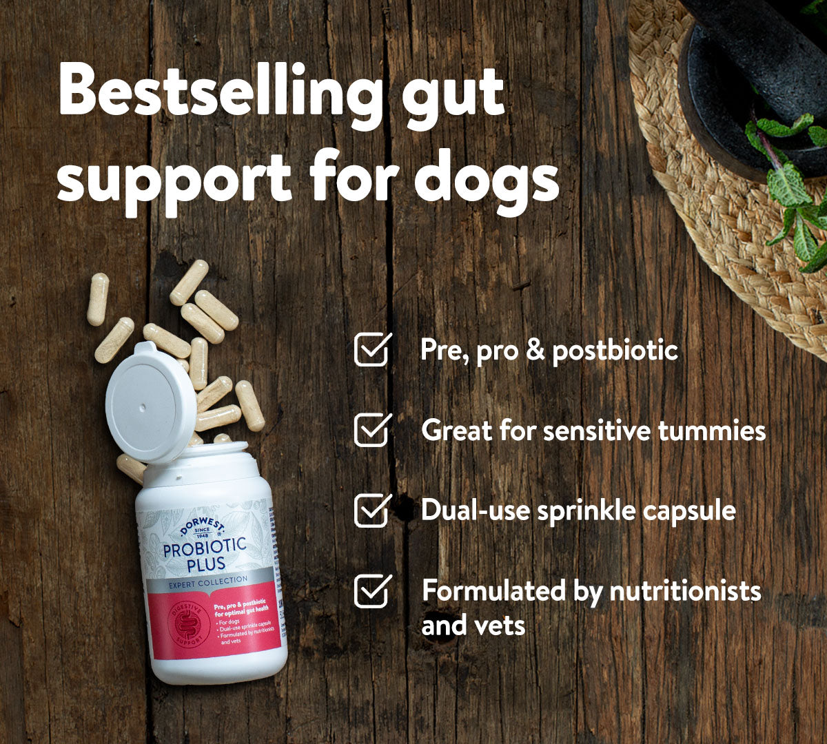 Probiotic Plus for Dogs