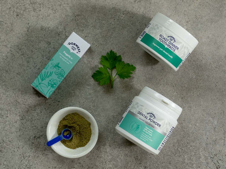 A simple 4-step dental routine for dogs