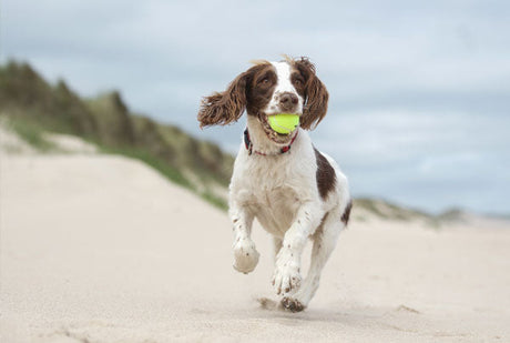 Top tips to keep cool this summer