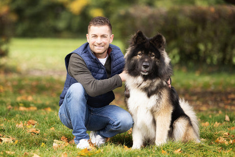 Helping your dog cope with fireworks: Expert advice from behaviourist Adem Fehmi