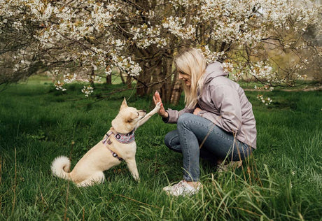 Nara’s Success Story with Scullcap & Valerian