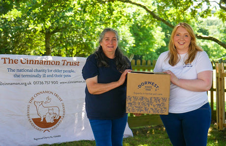 Dorwest visits The Cinnamon Trust
