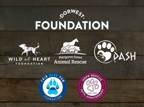 Dorwest Foundation donates £8000 to animal charities in 2025