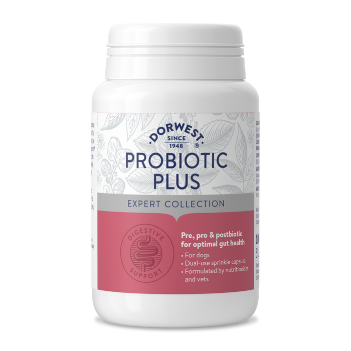 Dorwest Herbs Probiotic Plus