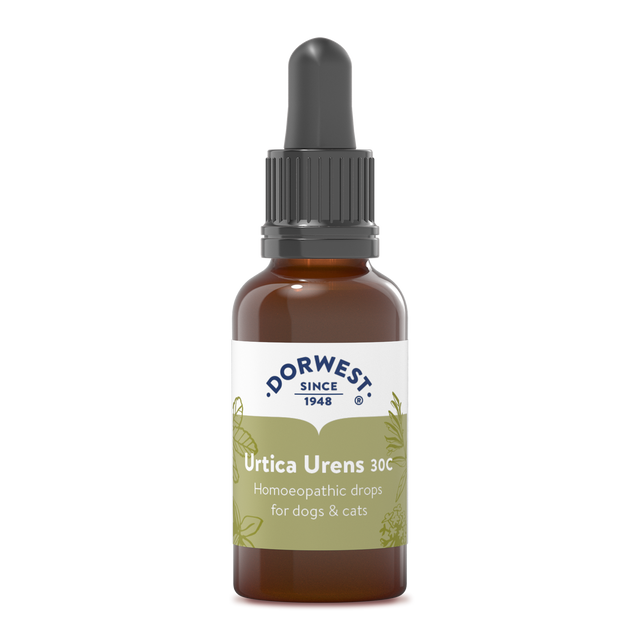 Arnica 30c for dogs outlet