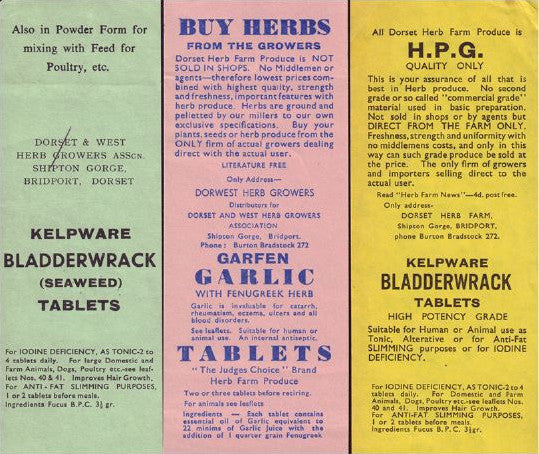 1960; Archive product labels for Kep Seaweed Tablets and Garlic Tablets, two products we still produce today!