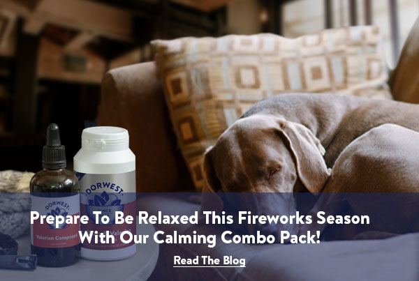 Prepare to be relaxed this fireworks season with our calming combo pack! - Read the blog