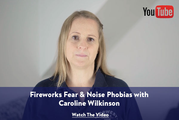 Fireworks fear & noise phobias with Caroline Wilkinson - Watch the video
